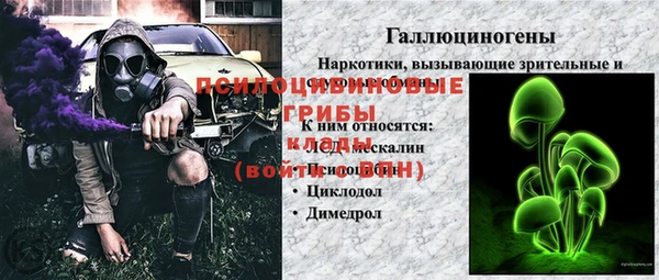 Альфа ПВП Верея
