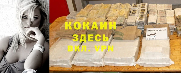 Альфа ПВП Верея